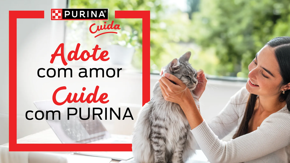Purina Dia do Animal